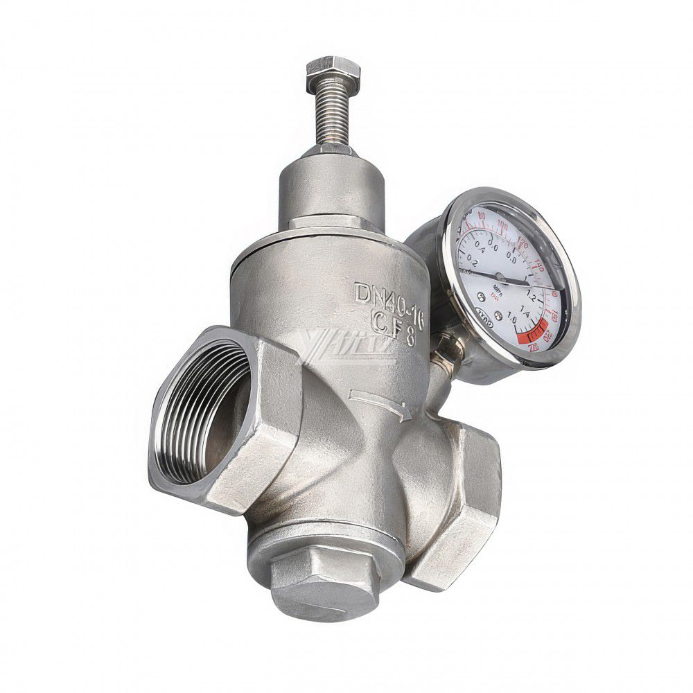 YOULI YZ11X Pressure Gage NPT BSP Pn16 304 316 Stainless Steel Water Branch Membrane Type Female Threaded Pressure Relief Valve