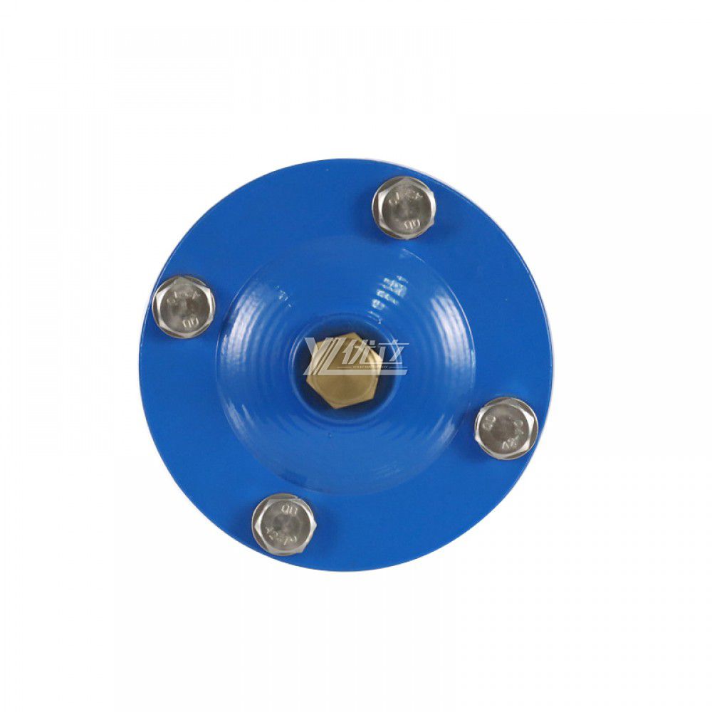 YOULI 1.6mpa 304 316 Stainless Steel WCB QB1 NPT BSP RC Automatic air Female Screw Threaded Exhaust Valve Vent Valve