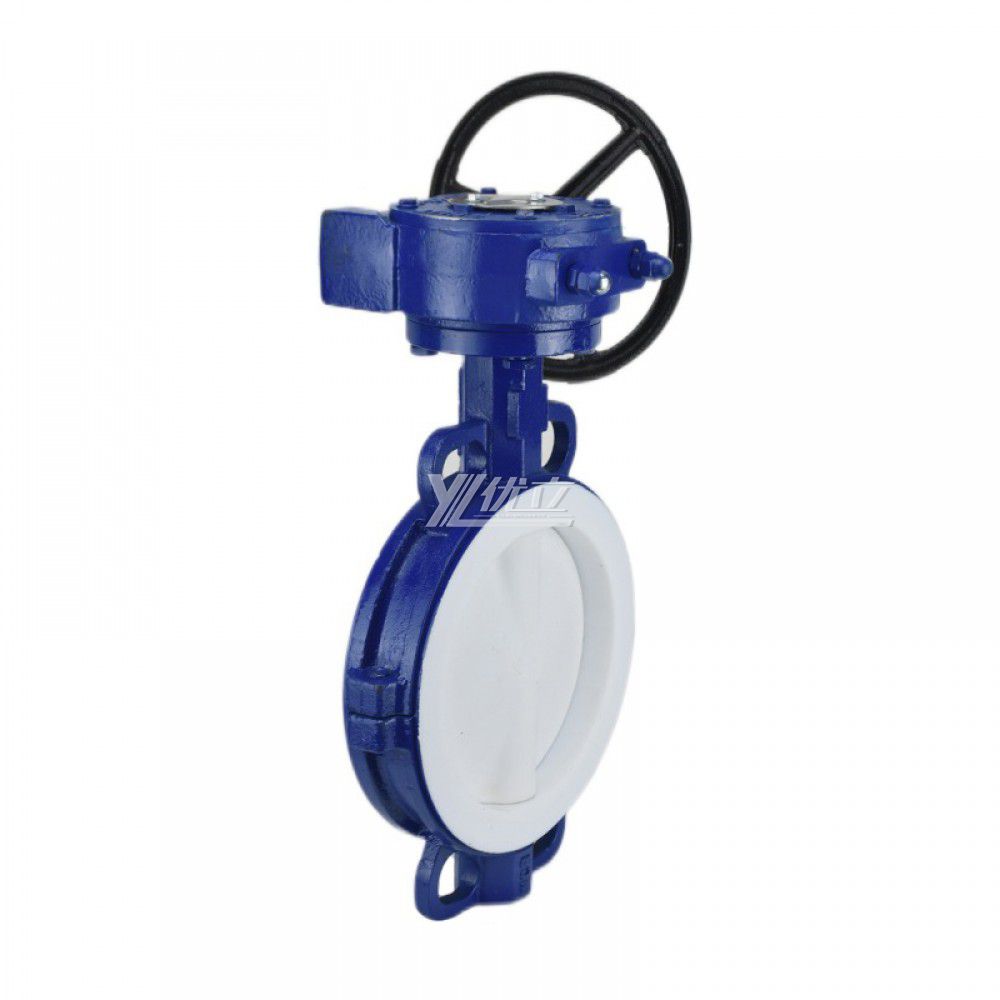 YOULI Stainless Steel 304 316 JIS 10K Pn16 WCB FEP F46 PFA Worm Wheel Manual Fluorine Lined Wafer Butterfly Valve