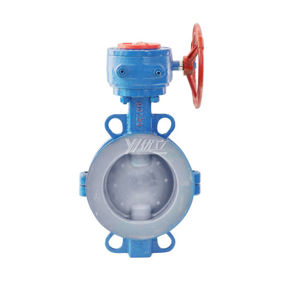 YOULI Stainless Steel 304 316 JIS 10K Pn16 WCB FEP F46 PFA Worm Wheel Manual Fluorine Lined Wafer Butterfly Valve