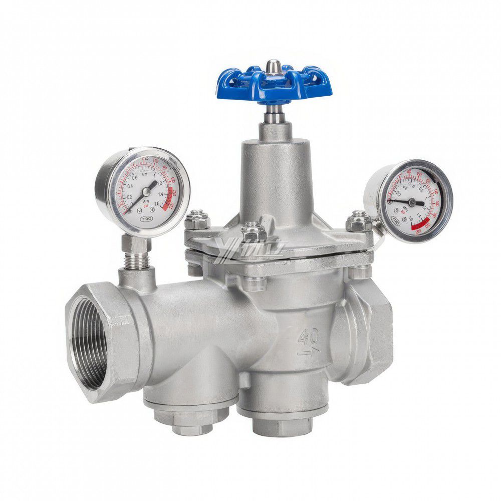 YOULI YZ11X Pressure Gauge NPT BSP Pn16 304 316 Stainless Steel Water Shockproof Female Threaded Filter Pressure Relief Valve