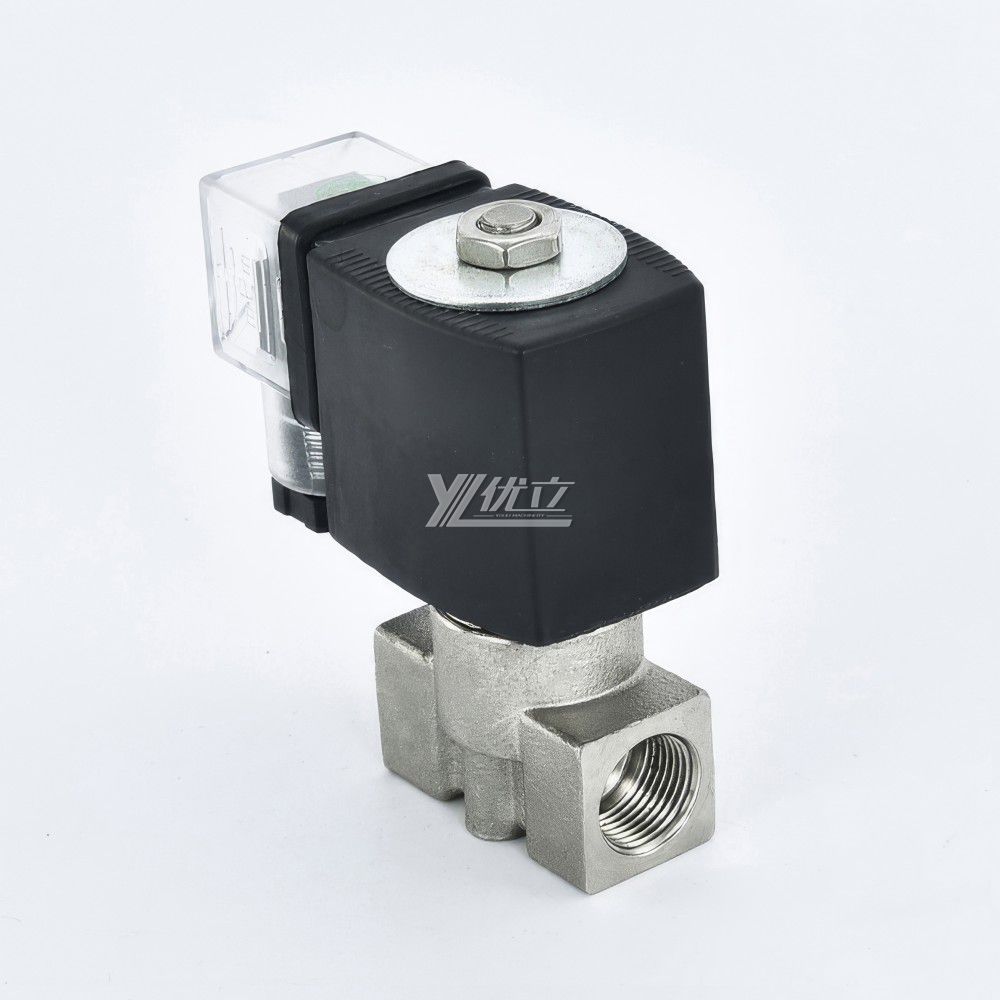 YOULI 2W Stainless Steel 304 316 Two Way Npt Bsp AC220V DC24V Water Oil Gas Straight Female Thread Mini Solenoid Valve
