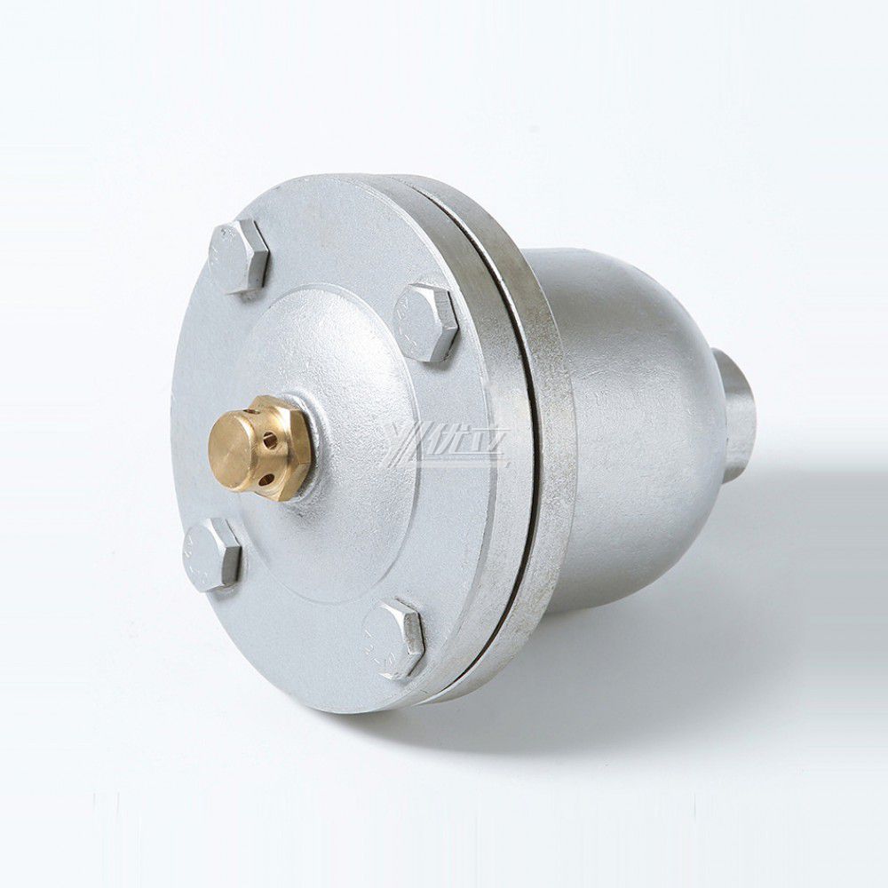 YOULI 1.6mpa 304 316 Stainless Steel WCB QB1 NPT BSP RC Automatic air Female Screw Threaded Exhaust Valve Vent Valve