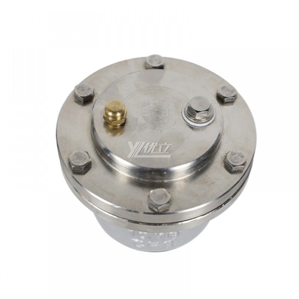 YOULI 1.6mpa Stainless Steel 304 316 WCB VARX Type Trace Automatic air Female Threaded Screw Microscale Exhaust Valve Vent Valve