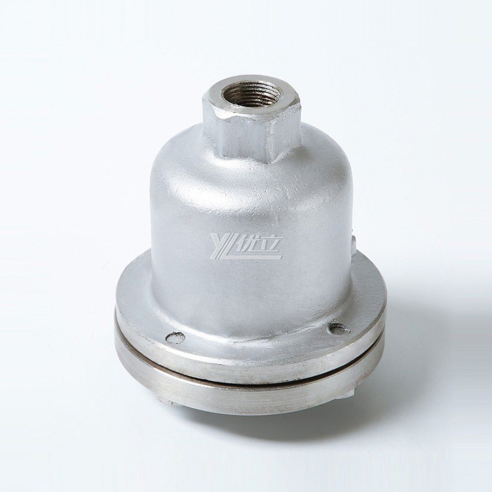 YOULI 1.6mpa Stainless Steel 304 316 WCB VARX Type Trace Automatic air Female Threaded Screw Microscale Exhaust Valve Vent Valve