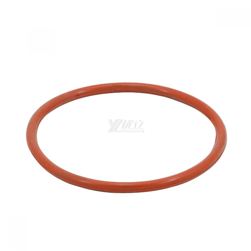 2.5" Sanitary Silicone Gasket with O Type for Diaphragm Valve