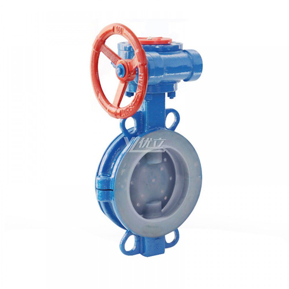 YOULI Stainless Steel 304 316 JIS 10K Pn16 WCB FEP F46 PFA Worm Wheel Manual Fluorine Lined Wafer Butterfly Valve