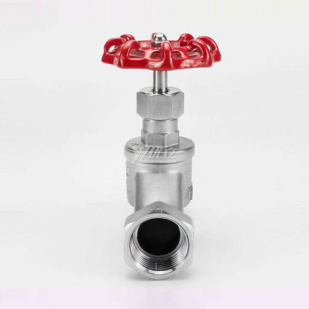 YOULI High Temperature Steam NPT BSP 1.6mpa 200wog 304 316 Stainless Steel WCB S Type Manual Screw Female Threaded Globe Valve