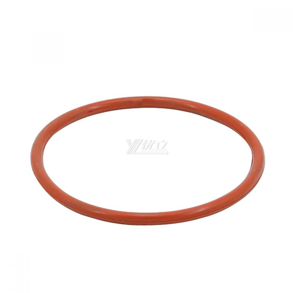 2.5" Sanitary Silicone Gasket with O Type for Diaphragm Valve