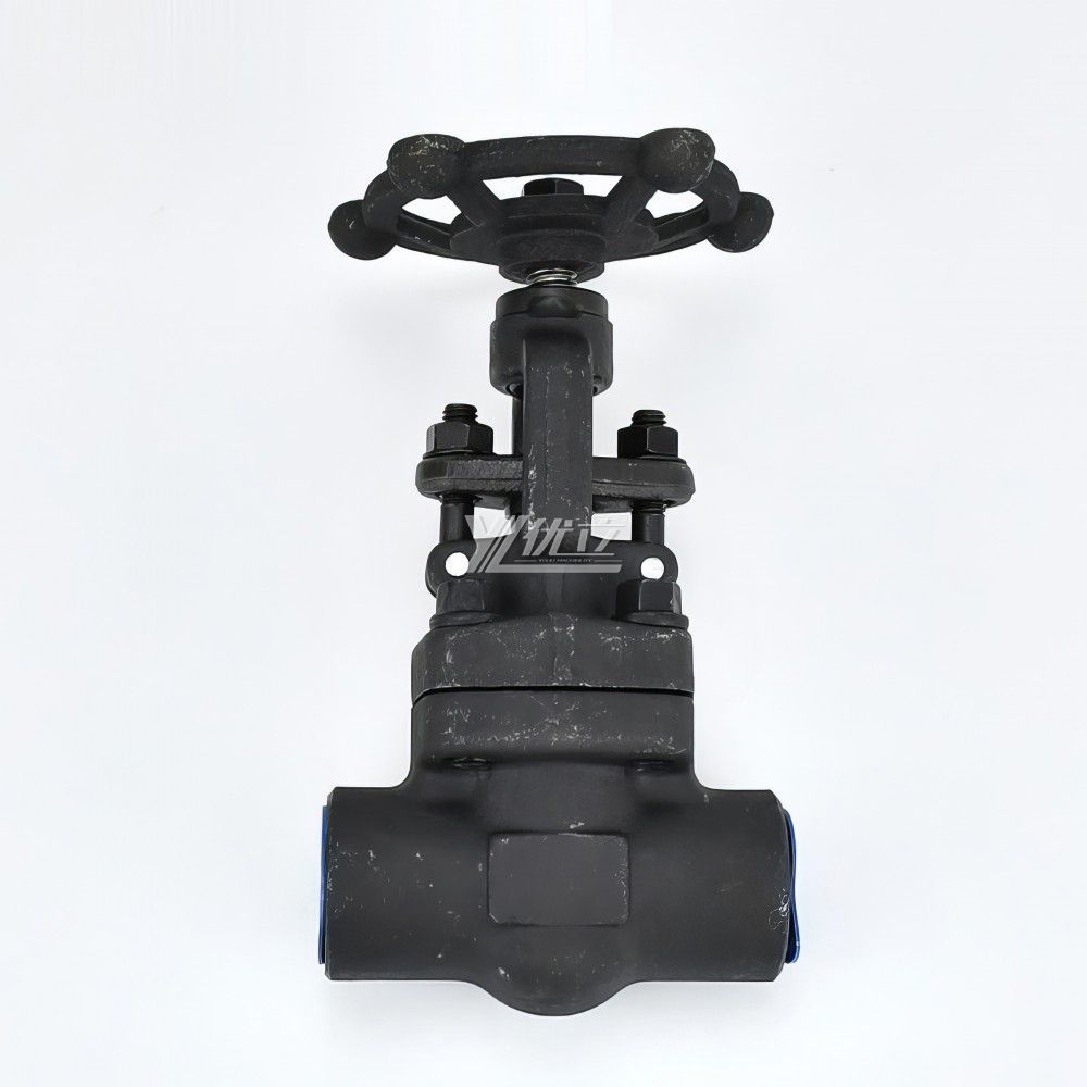 YOULI High Temperature Steam ANSI 150-1500LB 304 316 Stainless Steel A105 1.6-100mpa NPT BSP Forged Female Threaded Globe Valve