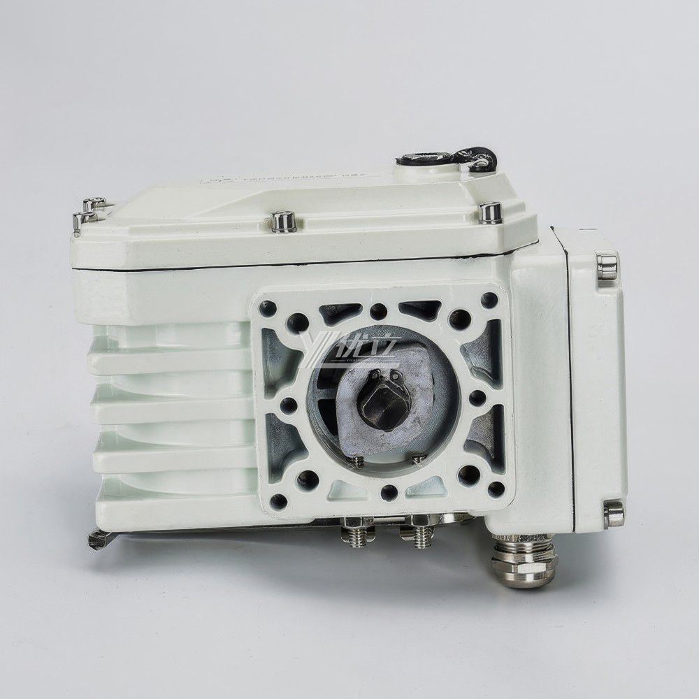 YOULI Customized DC24V AC220V 90° 180° Large Torque Ip67 On/off Use Regulating 4-20mA with Feedback Motorized Electric Motor Actuator