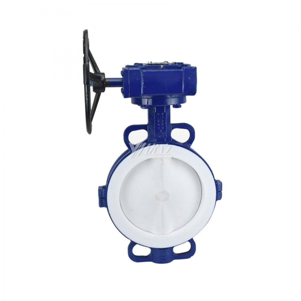 YOULI Stainless Steel 304 316 JIS 10K Pn16 WCB FEP F46 PFA Worm Wheel Manual Fluorine Lined Wafer Butterfly Valve