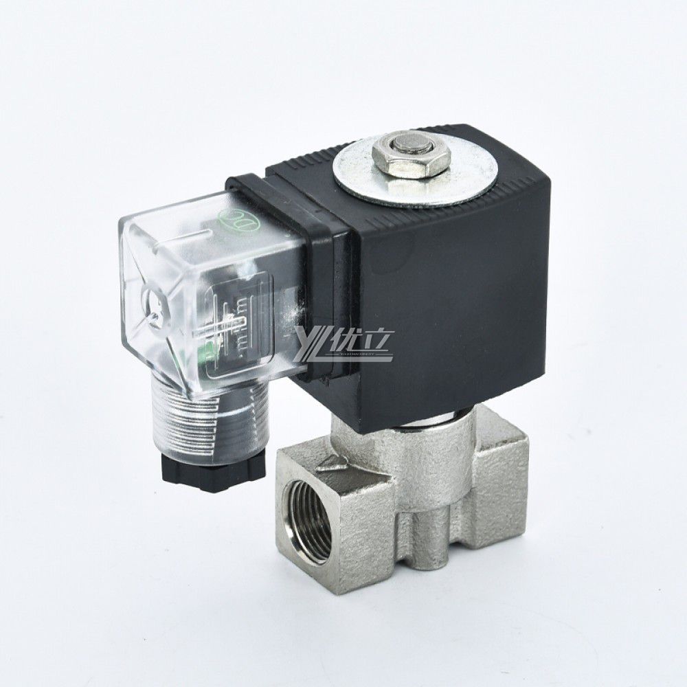 YOULI 2W Stainless Steel 304 316 Two Way Npt Bsp AC220V DC24V Water Oil Gas Straight Female Thread Mini Solenoid Valve