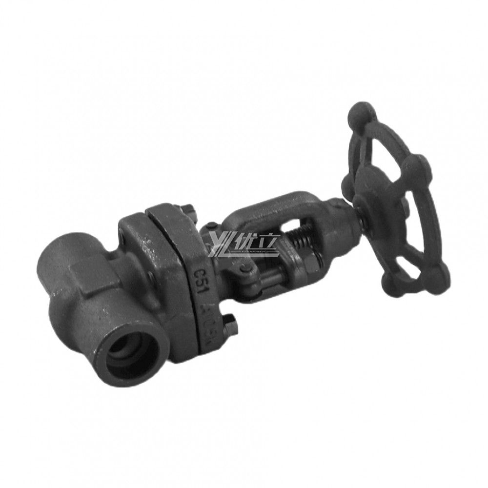 YOULI High Pressure Steam API ANSI 150lb -800LB Stainless Steel 304 316 A105 F11 F22 F5 Forged Manual Socket Welded Gate Valve