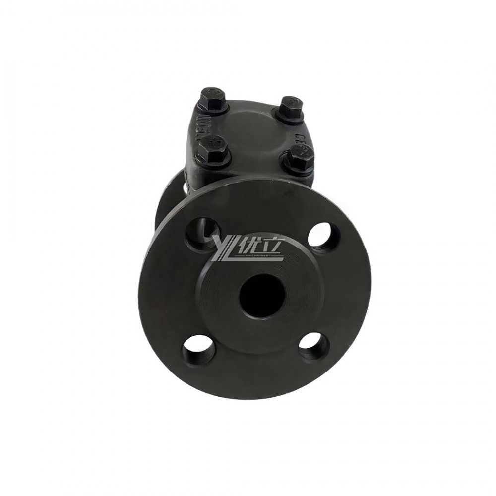 YOULI Stainless Steel Pipeline 60 Mesh 304 316 A105 ANSI 150-800LB JIS 10K PN16 Forged Y Type  Flange Strainer  Filter