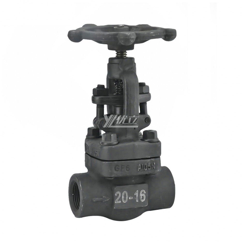 YOULI API ANSI 150-800LB 304 316 Stainless Steel A105 F11 F22 1.6-10mpa NPT BSP Forged Screw Female Threaded Gate Valve