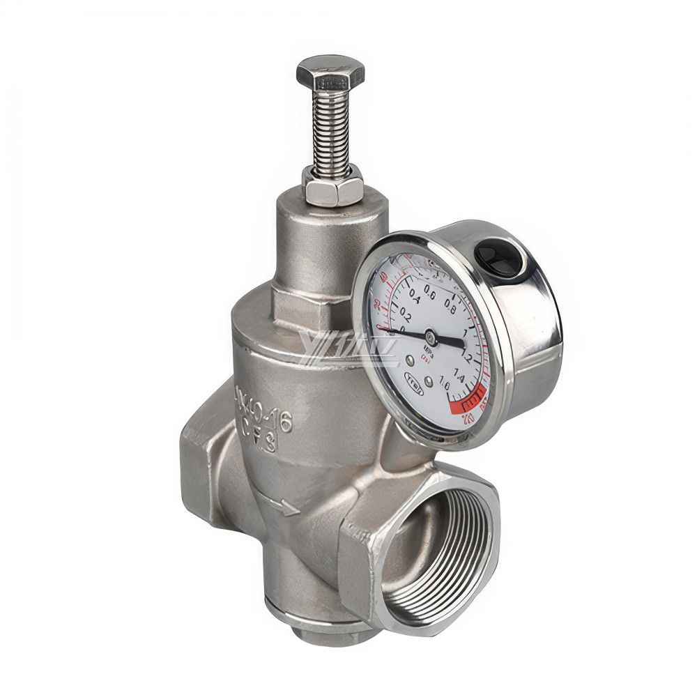 YOULI YZ11X Pressure Gage NPT BSP Pn16 304 316 Stainless Steel Water Branch Membrane Type Female Threaded Pressure Relief Valve