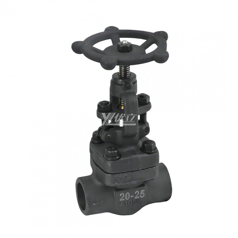 YOULI High Pressure Steam API ANSI 150lb -800LB Stainless Steel 304 316 A105 F11 F22 F5 Forged Manual Socket Welded Gate Valve
