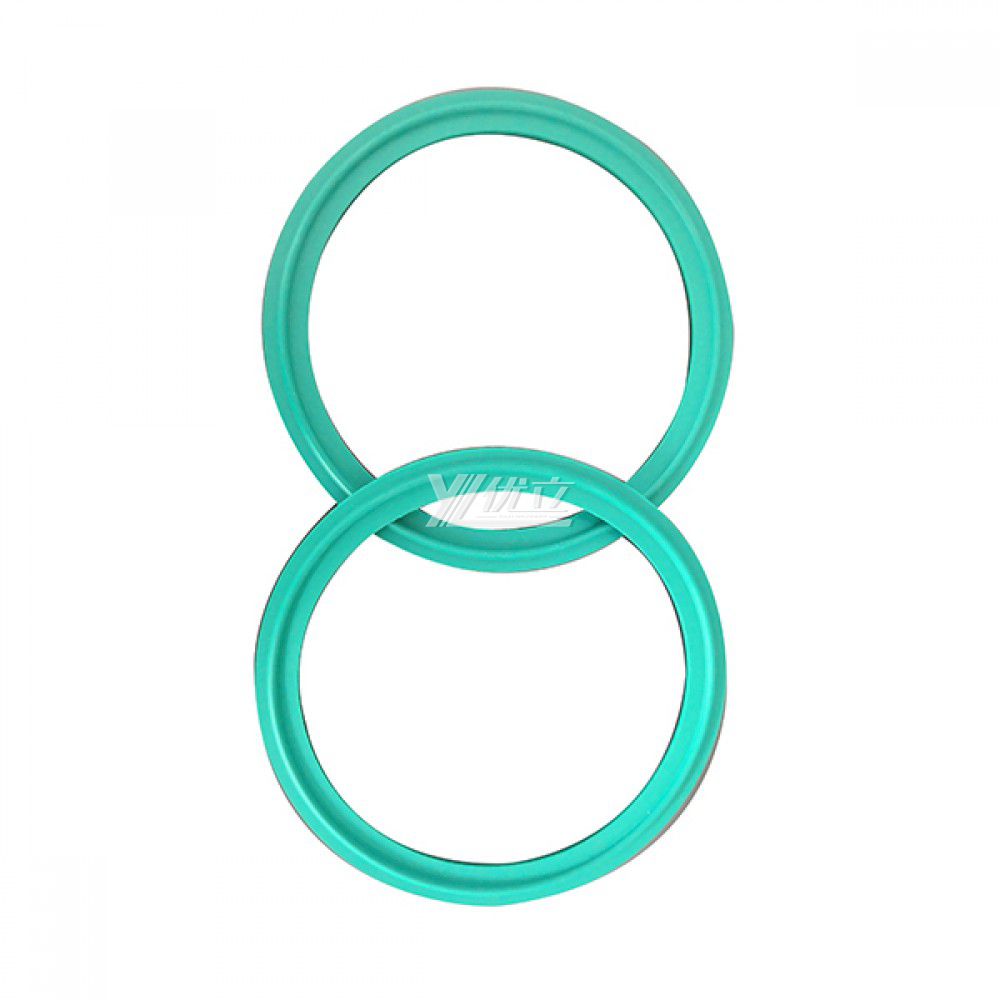YOULI Hygienic Food Grade Customized Sanitary Detect Tri Clamp Green VITON Sealing Ring