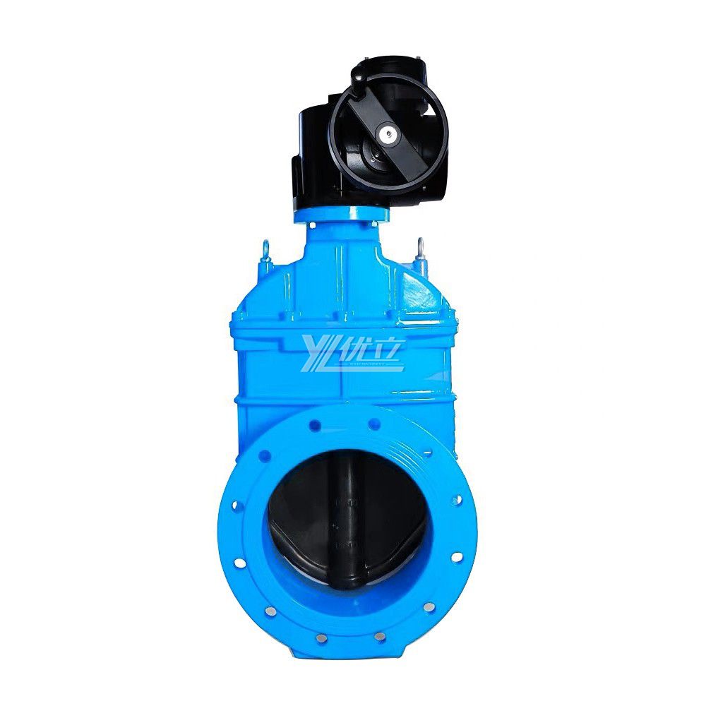 YOULI ANSI 150LB 304 316 Stainless Steel Cast Iron Water Soft Seal  1.6mpa Motorized AC380V Electric Flanged Gate Valve