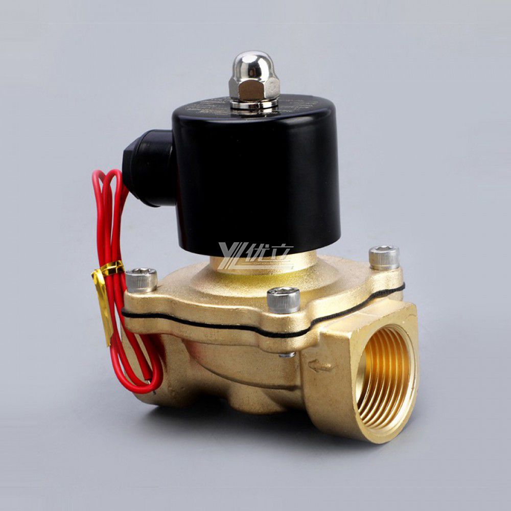 YOULI 2W Stainless Steel 304 316 Brass AC220V DC24V Normal Close Water Oil Gas Straight Female Thread Solenoid Valve