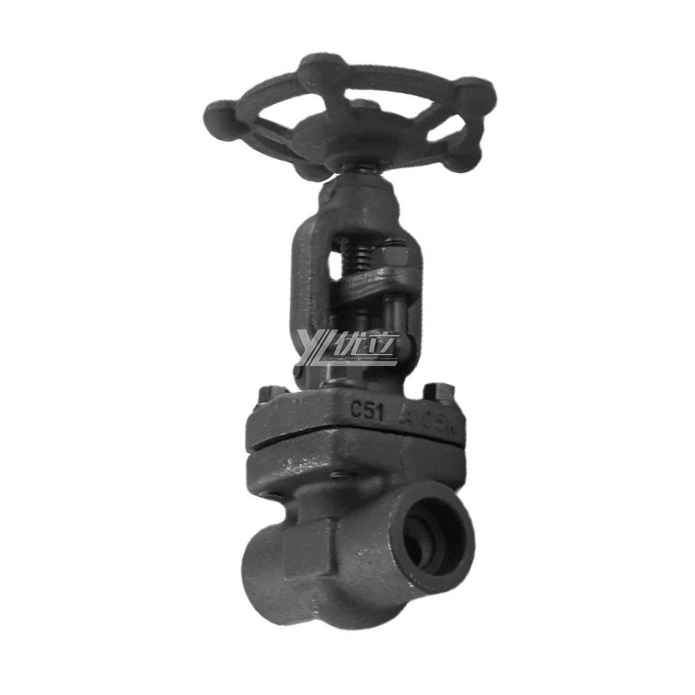 YOULI High Pressure Steam API ANSI 150lb -800LB Stainless Steel 304 316 A105 F11 F22 F5 Forged Manual Socket Welded Gate Valve