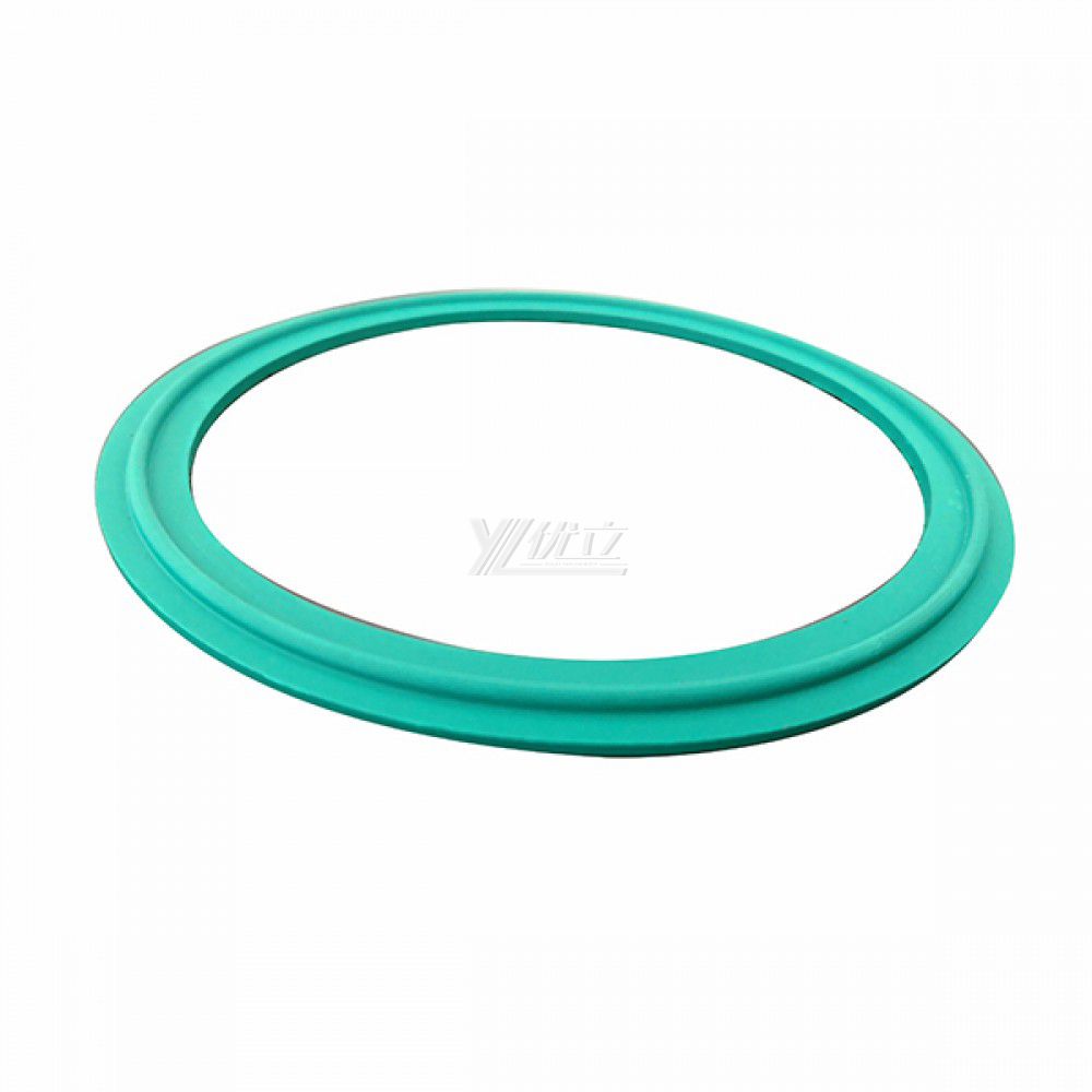YOULI Hygienic Food Grade Customized Sanitary Detect Tri Clamp Green VITON Sealing Ring