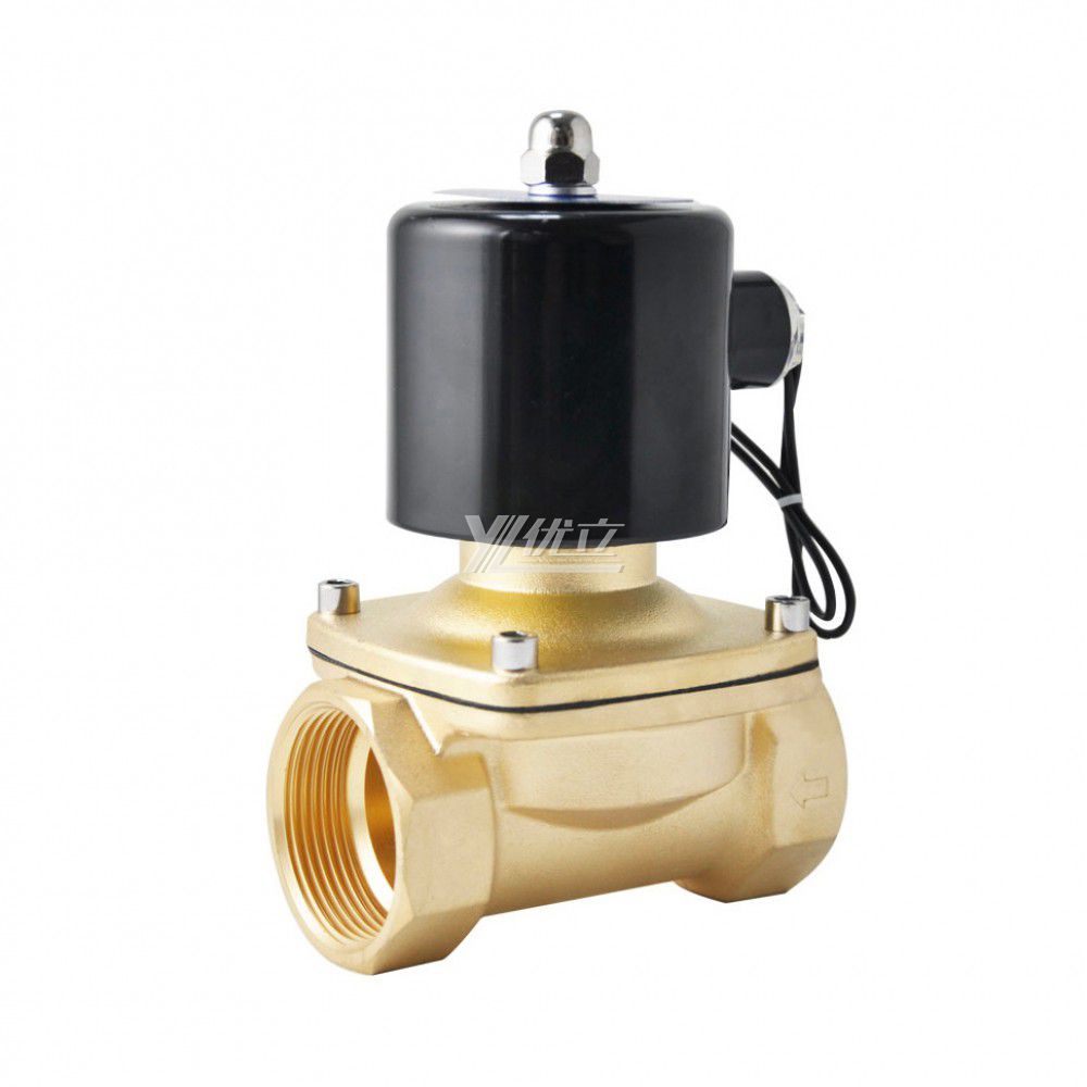 YOULI 2W Stainless Steel 304 316 Brass AC220V DC24V Normal Close Water Oil Gas Straight Female Thread Solenoid Valve