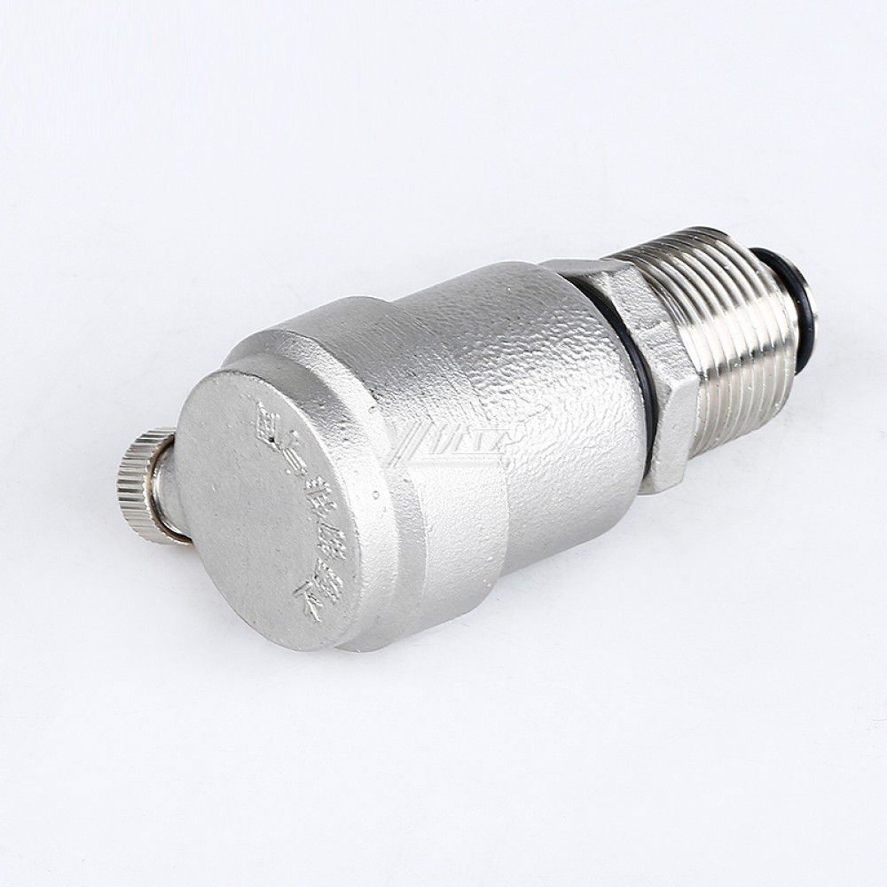 YOULI Durable Anti-leakage PN16 304 316 Stainless Steel NPT BSP RC a Type Automatic air Male Threaded Exhaust Valve Vent Valve