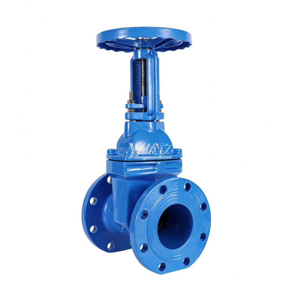 YOULI Zero Leakage Z45X ANSI 150LB 304 316 Stainless Steel Cast Iron PN16 Rising Stem Soft Seal Flanged Gate Valve
