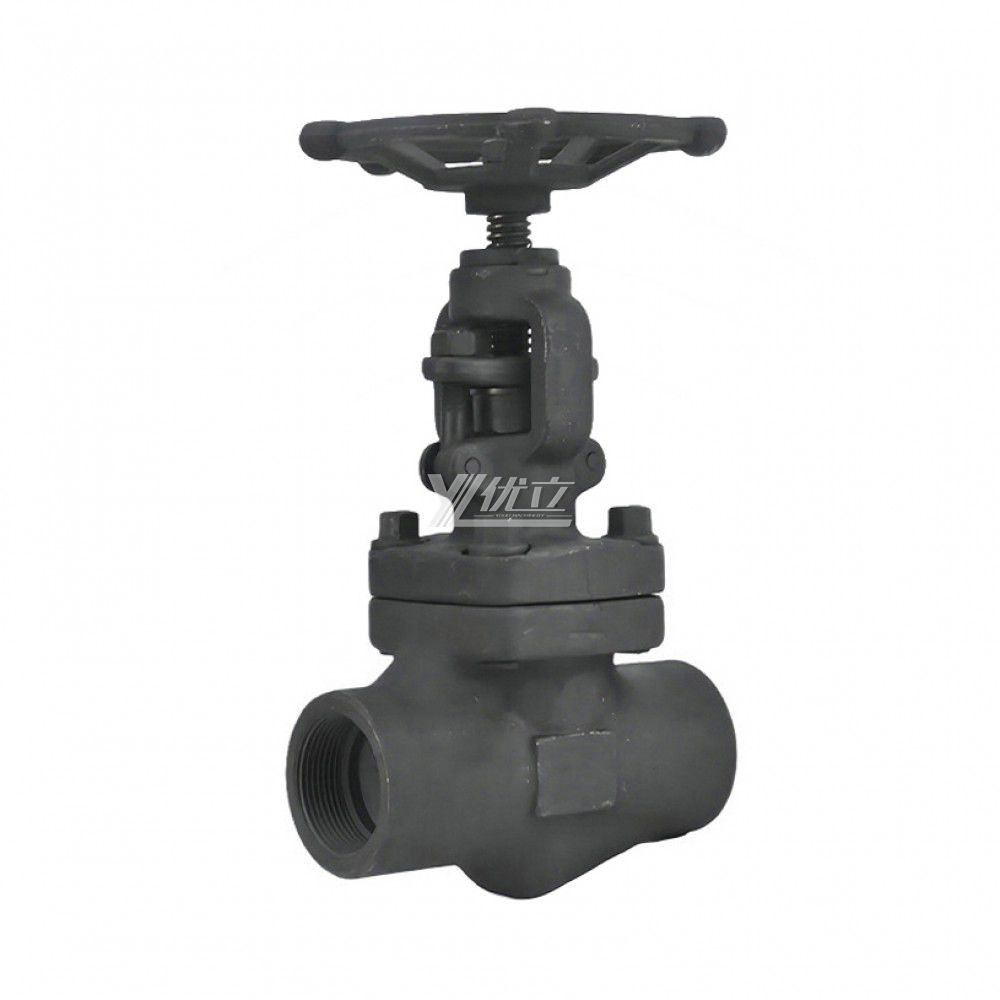 YOULI API ANSI 150-800LB 304 316 Stainless Steel A105 F11 F22 1.6-10mpa NPT BSP Forged Screw Female Threaded Gate Valve