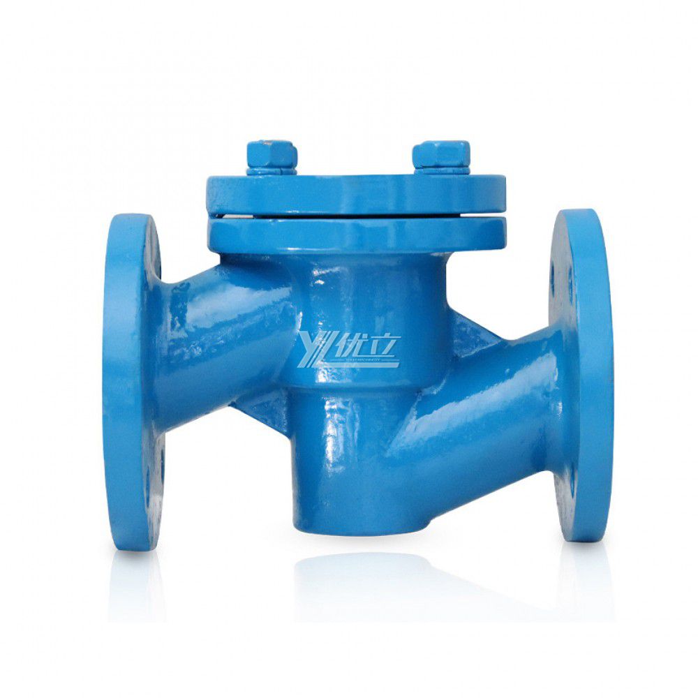 YOULI ANSI 150LB 304 316 1.6mpa Stainless Steel 304 316 WCB Fluorine Lining F4 F46 FEP PFA Lift Non-return Flanged Check Valve