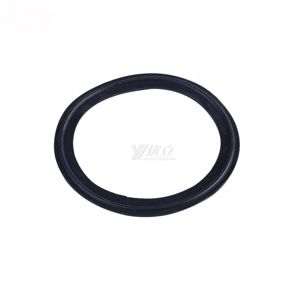 YOULI Hygienic Food Grade Customized Black Pipe Sanitary Tri Clamp BUNA Gasket
