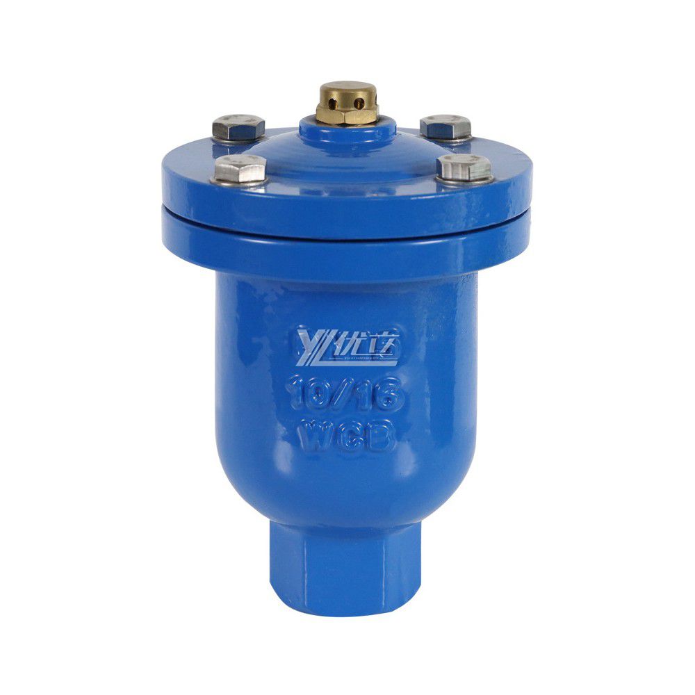 YOULI 1.6mpa 304 316 Stainless Steel WCB QB1 NPT BSP RC Automatic air Female Screw Threaded Exhaust Valve Vent Valve