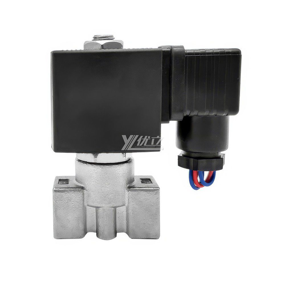 YOULI 2W Stainless Steel 304 316 Two Way Npt Bsp AC220V DC24V Water Oil Gas Straight Female Thread Mini Solenoid Valve