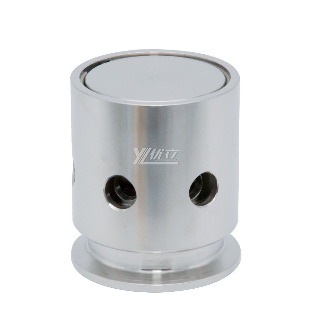 Stainless Steel Food Grade Fix Relief Pressure Vacuum Valve