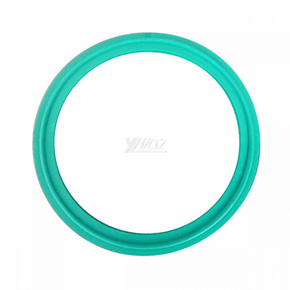 YOULI Hygienic Food Grade Customized Sanitary Detect Tri Clamp Green VITON Sealing Ring