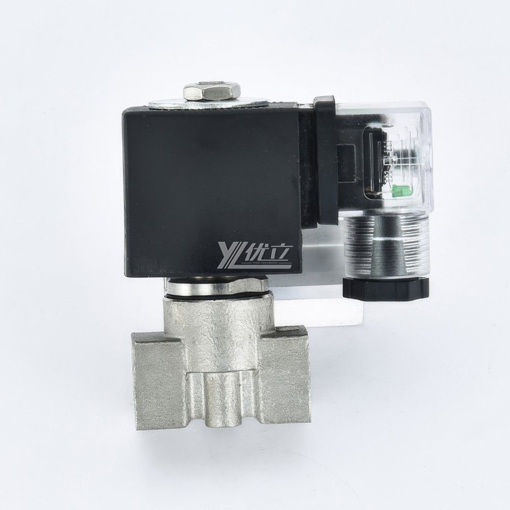 YOULI 2W Stainless Steel 304 316 Two Way Npt Bsp AC220V DC24V Water Oil Gas Straight Female Thread Mini Solenoid Valve