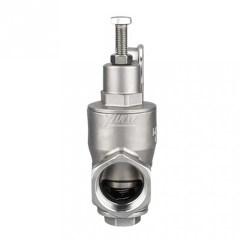 YOULI YZ11X Pressure Gage NPT BSP Pn16 304 316 Stainless Steel Water Branch Membrane Type Female Threaded Pressure Relief Valve