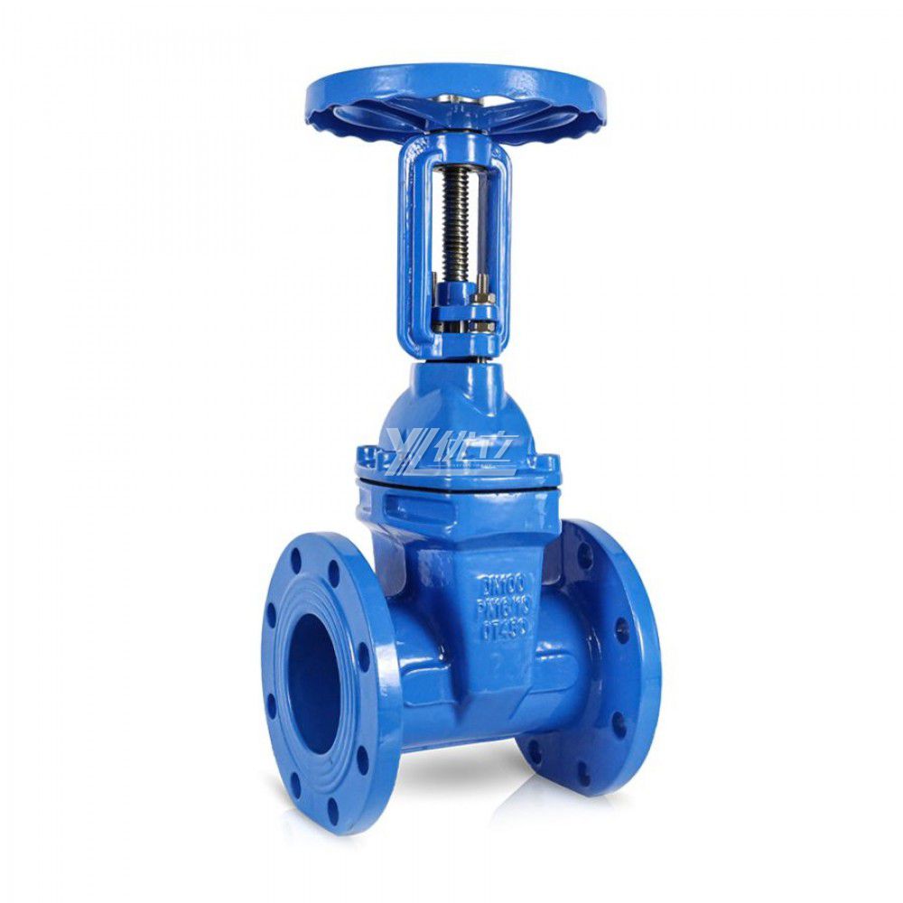 YOULI Zero Leakage Z45X ANSI 150LB 304 316 Stainless Steel Cast Iron PN16 Rising Stem Soft Seal Flanged Gate Valve