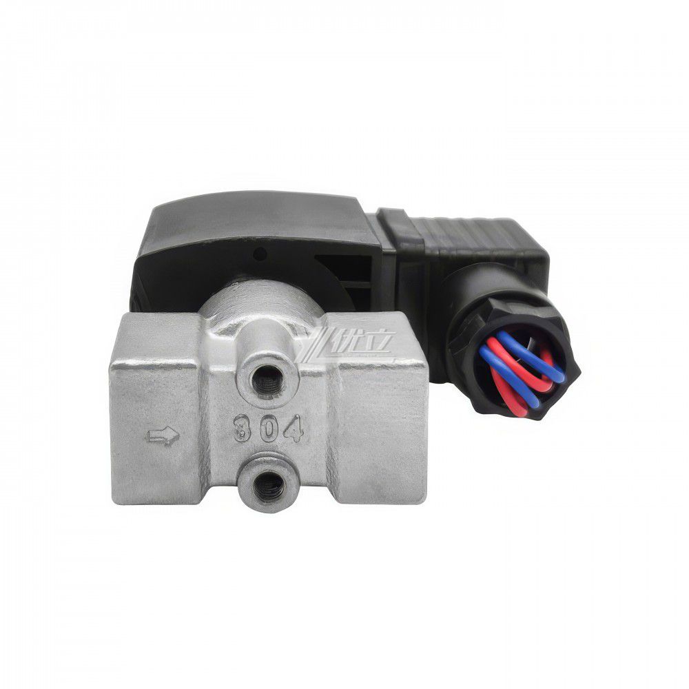 YOULI 2W Stainless Steel 304 316 Two Way Npt Bsp AC220V DC24V Water Oil Gas Straight Female Thread Mini Solenoid Valve