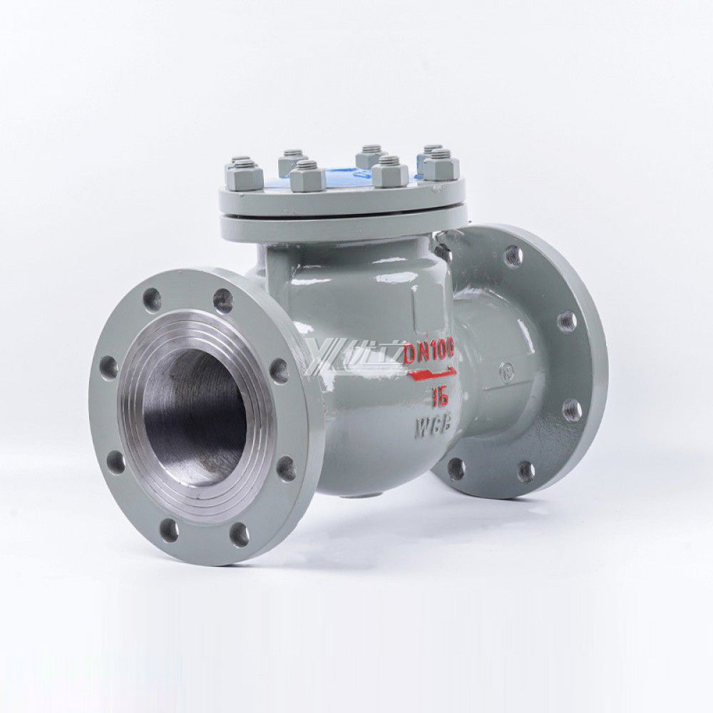 YOULI Stainless Steel High Temperature Steam Water ANSI 150LB  304 316 JIS 10K 1.6mpa WCB NRV Swing Flanged Check Valve