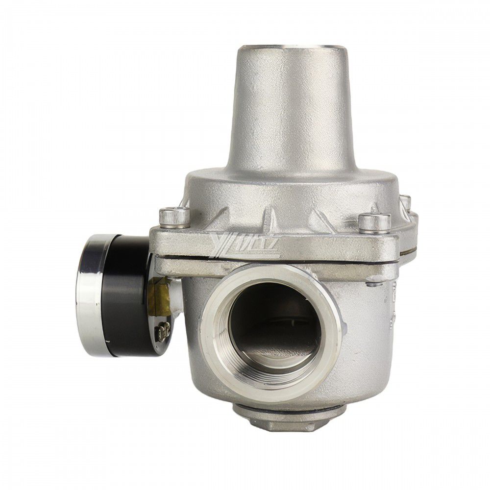 YOULI YZ11X-16P ressure Gage NPT BSP Pn16 304 316 Stainless Steel Water Branch Membrane Type Female Threaded Pressure Relief Valve