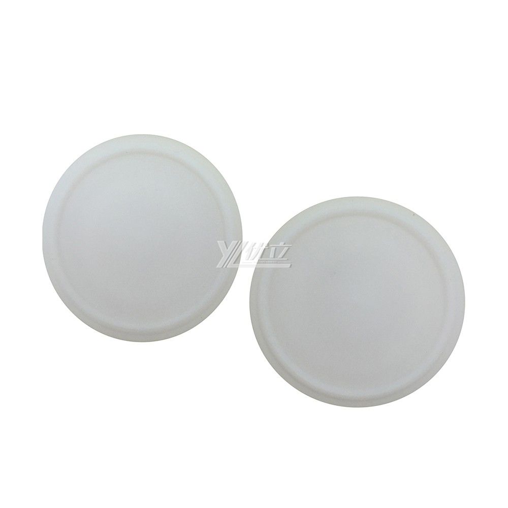 Sanitary Tri Clamp Blank PTFE Seal