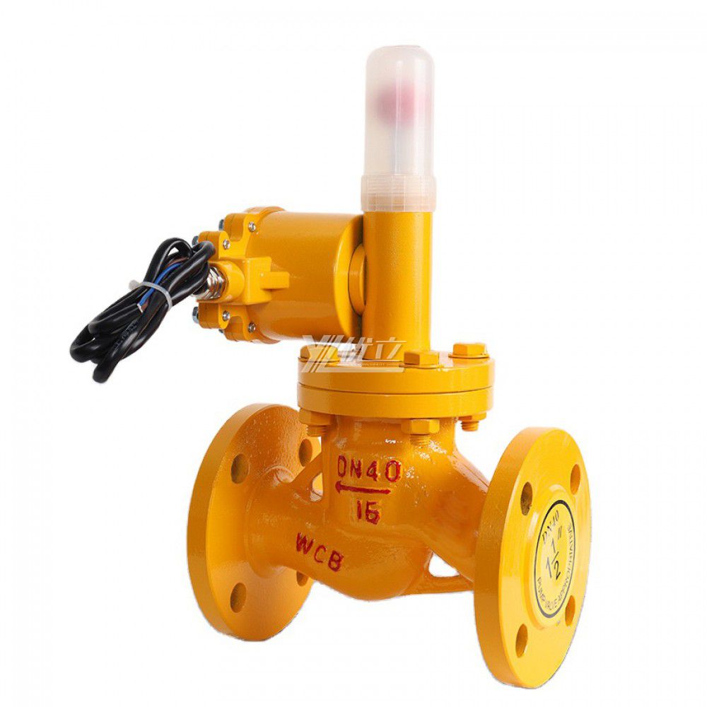 YOULI ZCRB Stainless Steel 304 316 Cast Iron AC220V DC24V Gas Emergency Shut-off Flanged Solenoid Valve