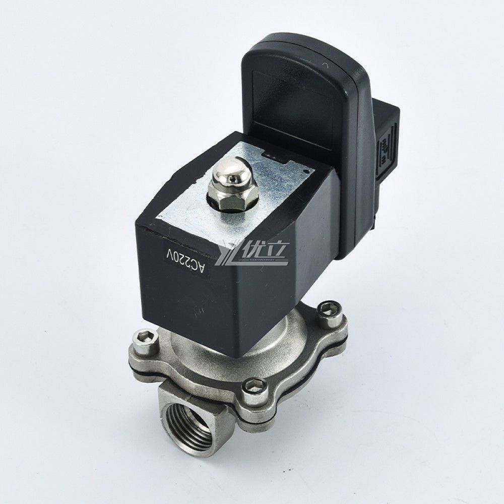 YOULI 2W Stainless Steel 304 316 Two Way Npt Bsp AC220V DC24V Normal Close Water Straight Female Thread Timed Solenoid Valve
