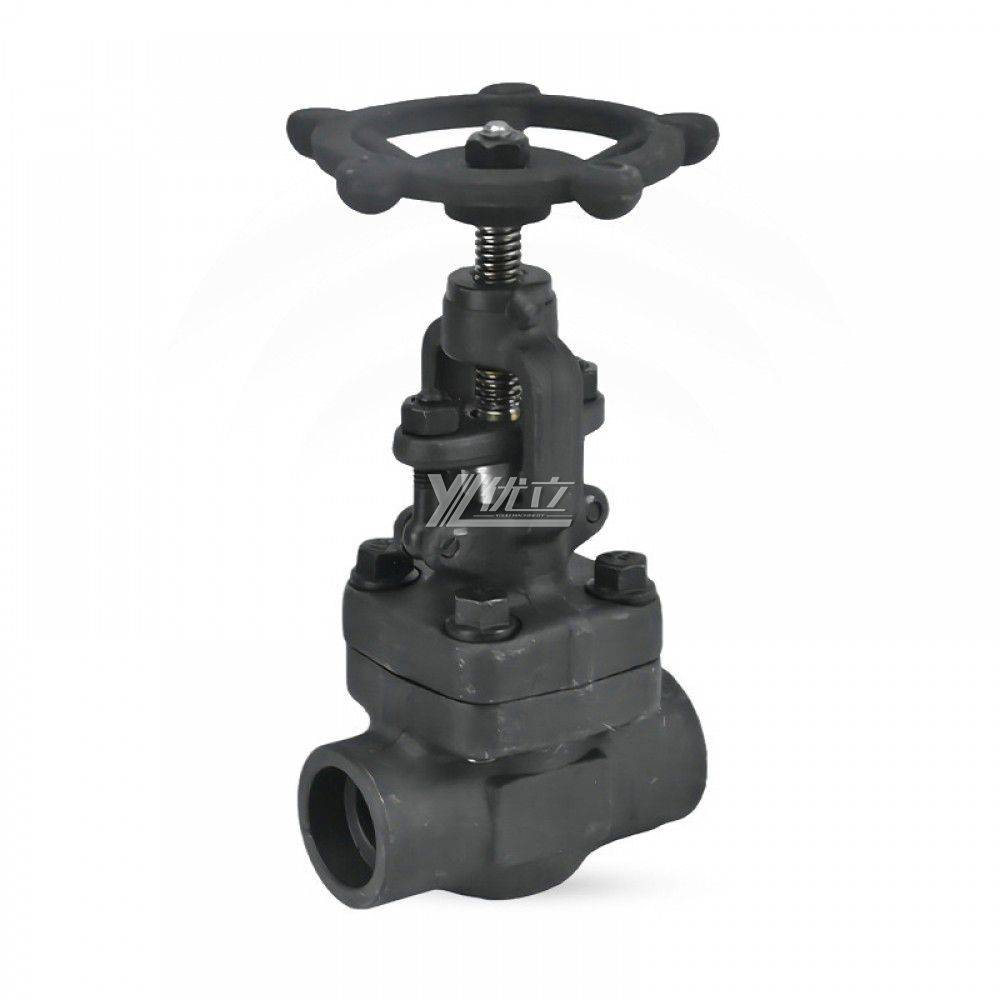 YOULI High Pressure Steam API ANSI 150lb -800LB Stainless Steel 304 316 A105 F11 F22 F5 Forged Manual Socket Welded Gate Valve