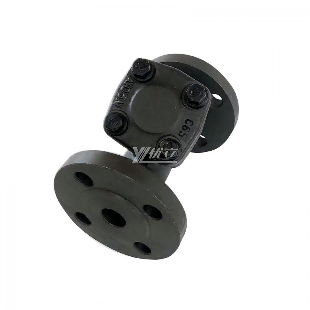 YOULI Stainless Steel Pipeline 60 Mesh 304 316 A105 ANSI 150-800LB JIS 10K PN16 Forged Y Type  Flange Strainer  Filter