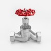 YOULI High Temperature Steam NPT BSP 1.6mpa 200wog 304 316 Stainless Steel WCB S Type Manual Screw Female Threaded Globe Valve