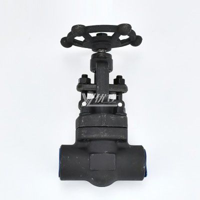 YOULI High Temperature Steam ANSI 150-1500LB 304 316 Stainless Steel A105 1.6-100mpa NPT BSP Forged Female Threaded Globe Valve